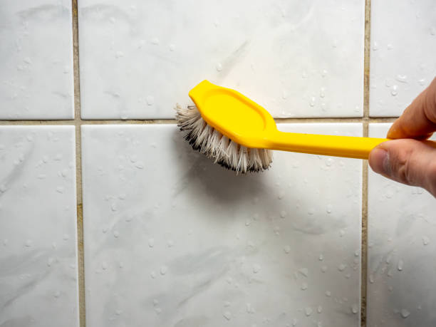 Best Preventive Mold Services in Cadillac, MI